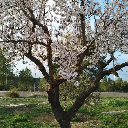 カントリーハウス La Contrada