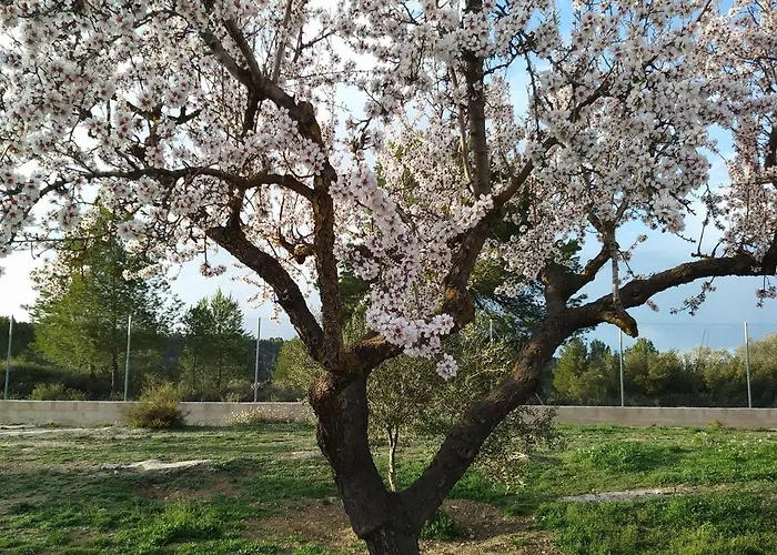 Lantställe La Contrada